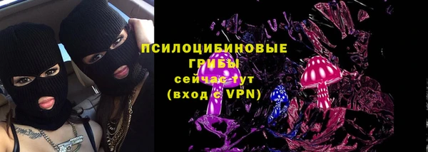 а пвп мука Белокуриха