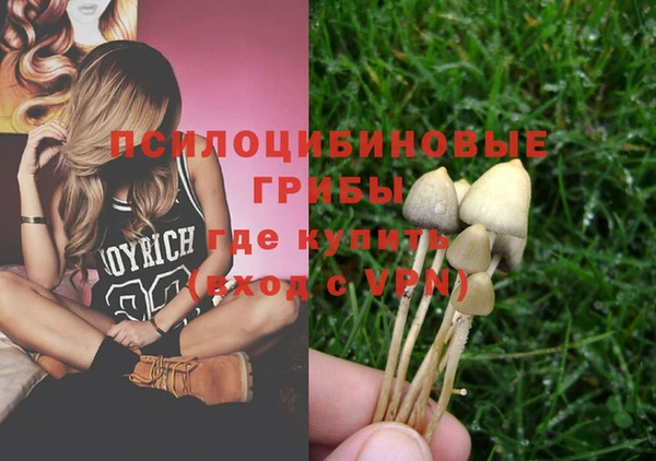 а пвп мука Белокуриха
